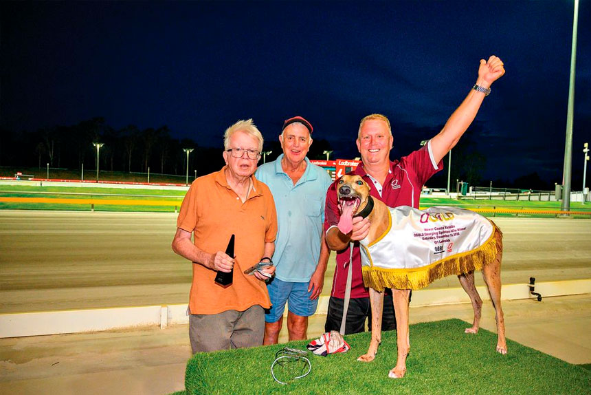 Wolf Creek celebrates another win with trainer Tony Brett and connections. PHOTO: Queensland Greyhound Racing Club facebook via Box 1 Photography