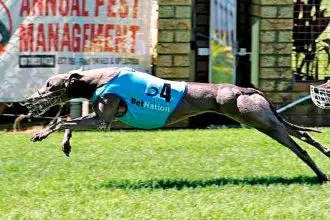 Kyoto has been a picture of consistency down the Capalaba straight.