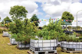 Ripley Valley Community Garden has received $11,559 to continue its good work.