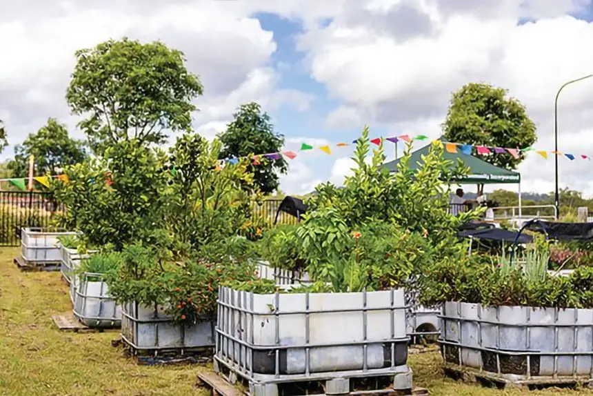 Ripley Valley Community Garden has received $11,559 to continue its good work.