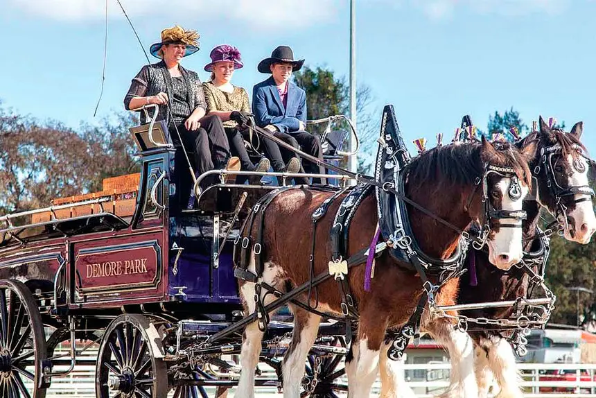 ROLLING FORWARD: Now expanded into a four-day program, the event continues to grow in stature and spirit.