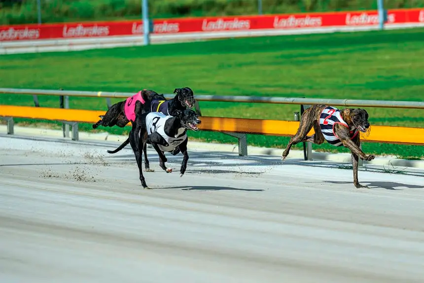 Finals fever is about to hit, with hot prospects aplenty.