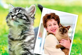 FELINES’ FRIEND: Jacquie Rand leads the initiative to save cats.