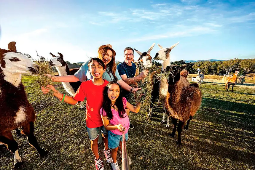 GOOD SIGNS: The rising number of day-trippers visiting local attractions is encouraging.