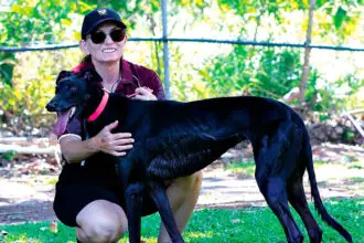 TOO EASY: Greg Stella’s Salsa thumped the chasing pack by close to eight lengths last month.