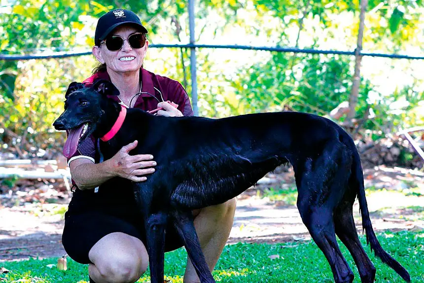 TOO EASY: Greg Stella’s Salsa thumped the chasing pack by close to eight lengths last month.