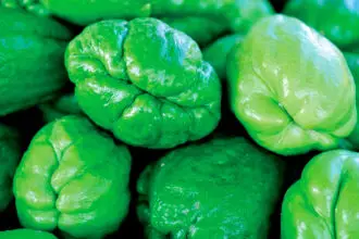 The humble choko is very versatile.