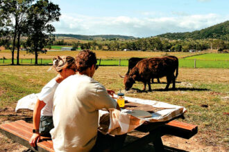 FARM FLAVOURS: Highlights range from long lunches on working farms to intimate dinners under the stars.