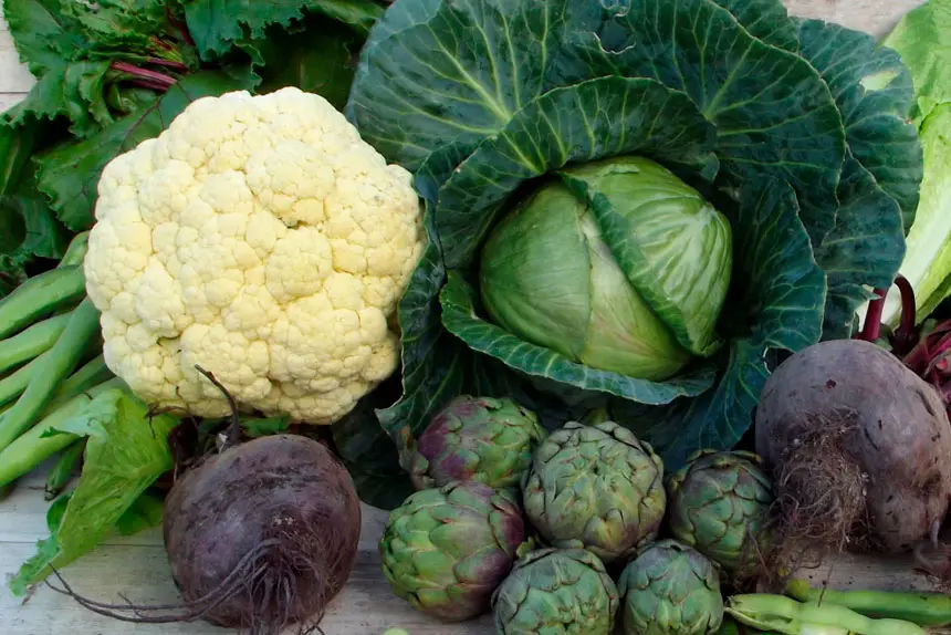 It’s time for winter vegetables to thrive.