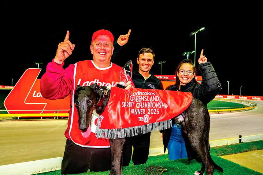 FLASHBACK: Cumbria Jack loves the big occasions as seen last year. PHOTO: Queensland Greyhound Racing Club