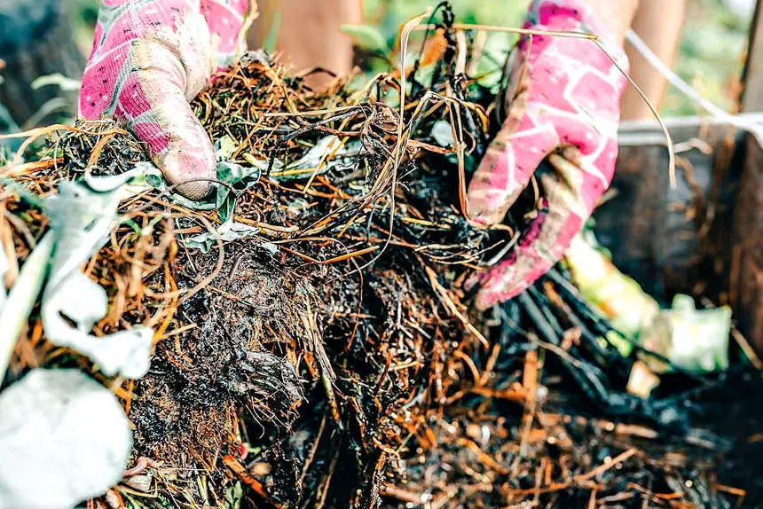 Organic matter no longer destined for landfill.