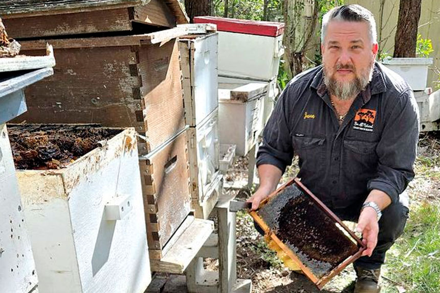 HUGE HIT: Bee All Natural’s Jason Roebig has lost 800 hives.