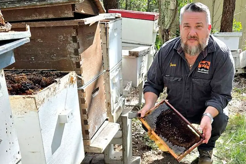 HUGE HIT: Bee All Natural’s Jason Roebig has lost 800 hives.