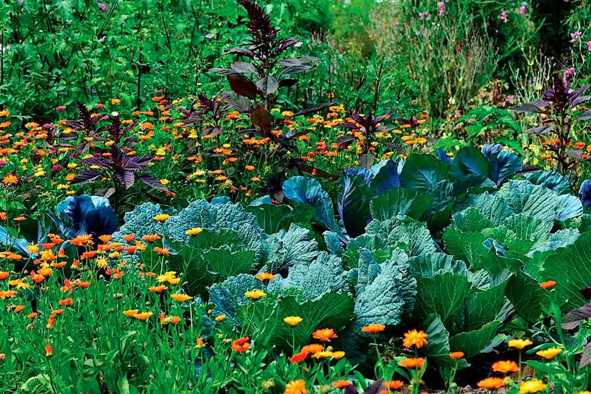 Applying fresh mulch is an important winter task.