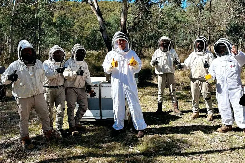 STAYING POSITIVE: Beekeepers are doing all they can to convince all levels of government to show support.