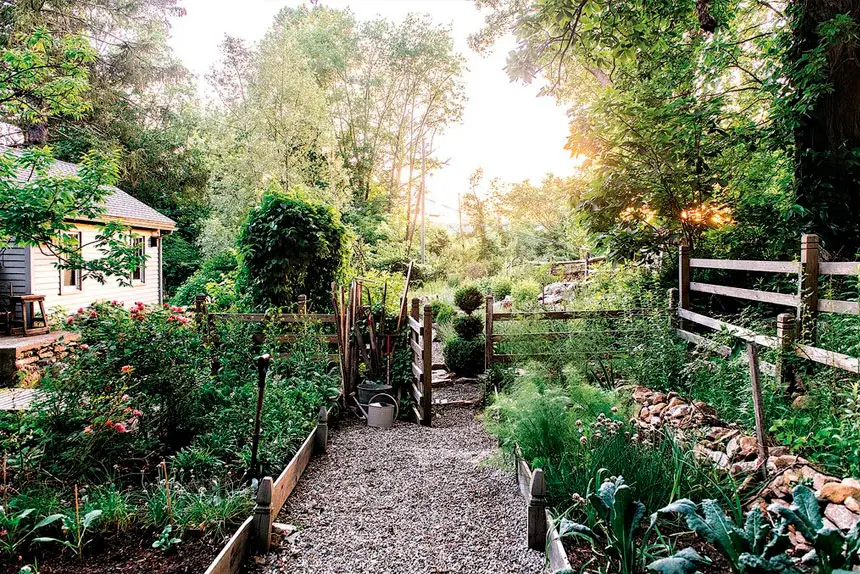 Many people are rediscovering the joy of growing food.