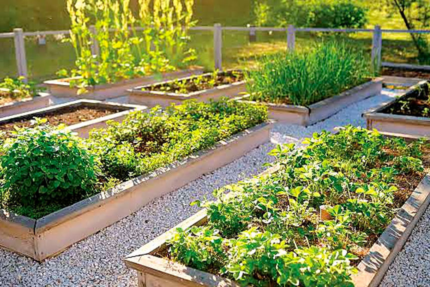 Container gardening boosts biodiversity in built-up areas.