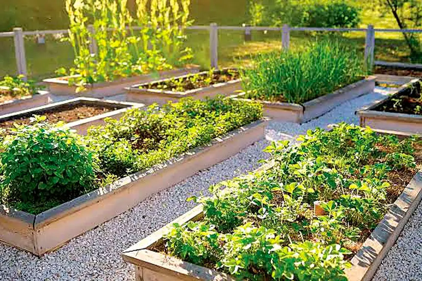 Container gardening boosts biodiversity in built-up areas.