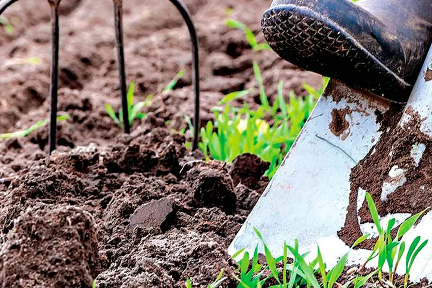 Focus on growing what your family enjoys eating.