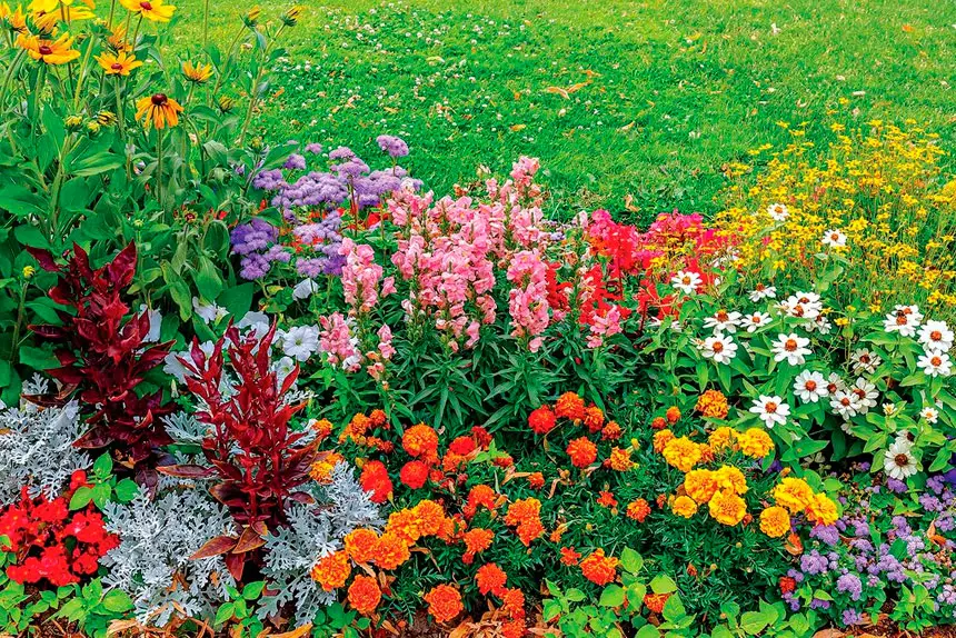 Pollinators help plants reproduce between flowers.