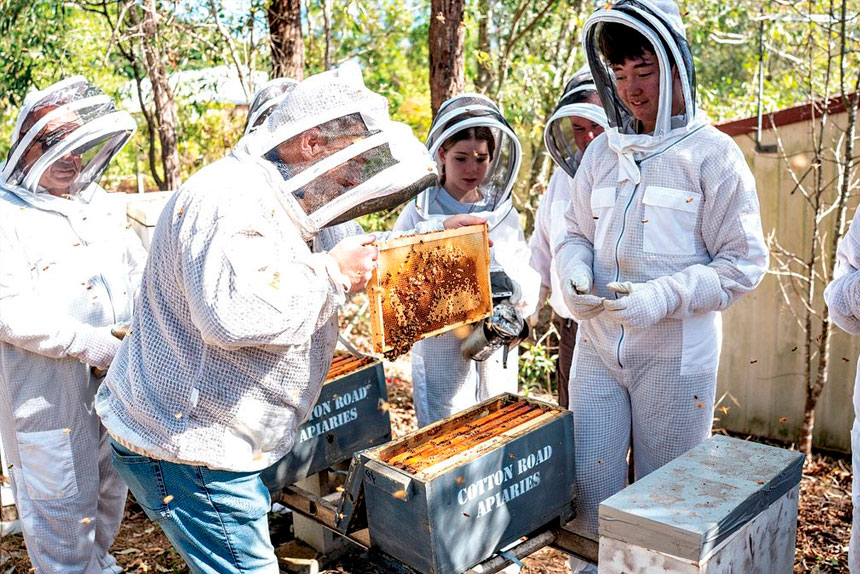 DESPERATE TIMES: Garvan Cannon prepares to destroy infected hives.