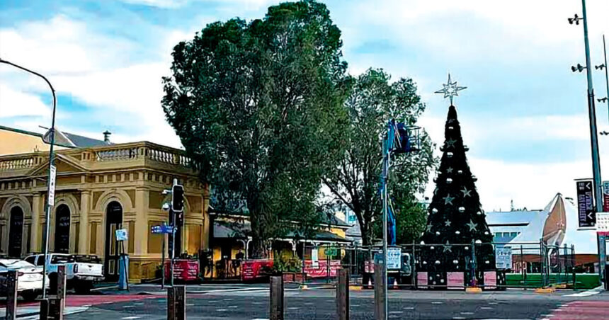 NO PROTECTION: It’s a failed bid to protect two mature trees.