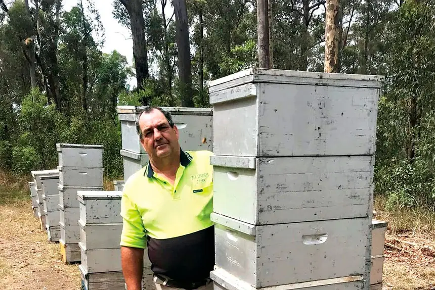 Commercial beekeeper and member of AgriFutures Honey Bee & Pollination Advisory Panel Steve Fuller.