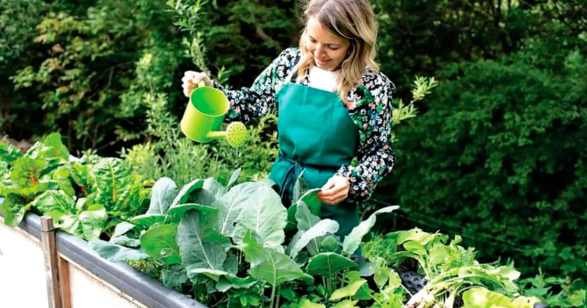 Having a garden could be more than just aesthetics.
