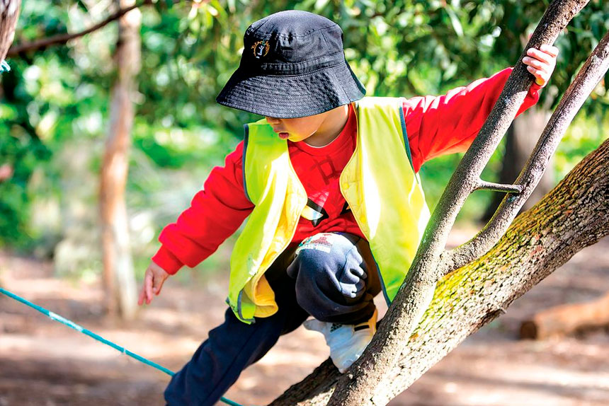 LEARNING BY DOING: Bush kindy prepares a child for life – for the moment when nobody is there to lift you up.