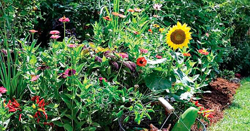 September is an ideal time for planting.