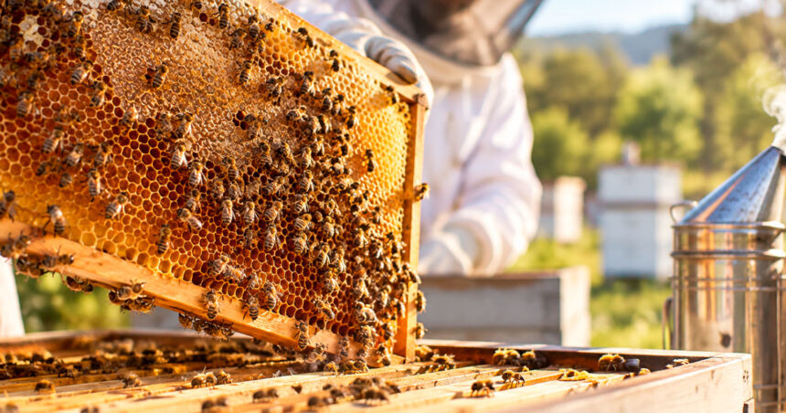 Beekeeping trophy honours Stuart Thompson’s generous legacy