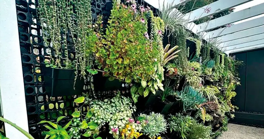 Gardeners are making every square metre count.