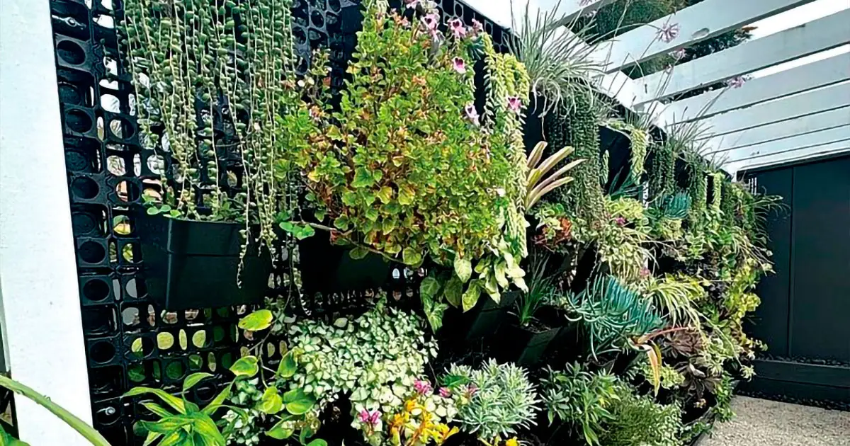 Gardeners are making every square metre count.