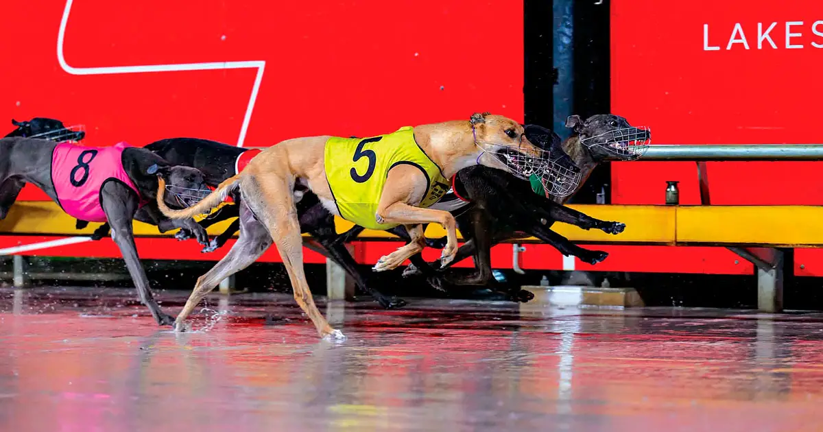 Koby Keeping (inside, box 6) wins the Group 3 Ipswich Derby over Dalgety and Shout Out Shazam in a driving finish. (QGRC)