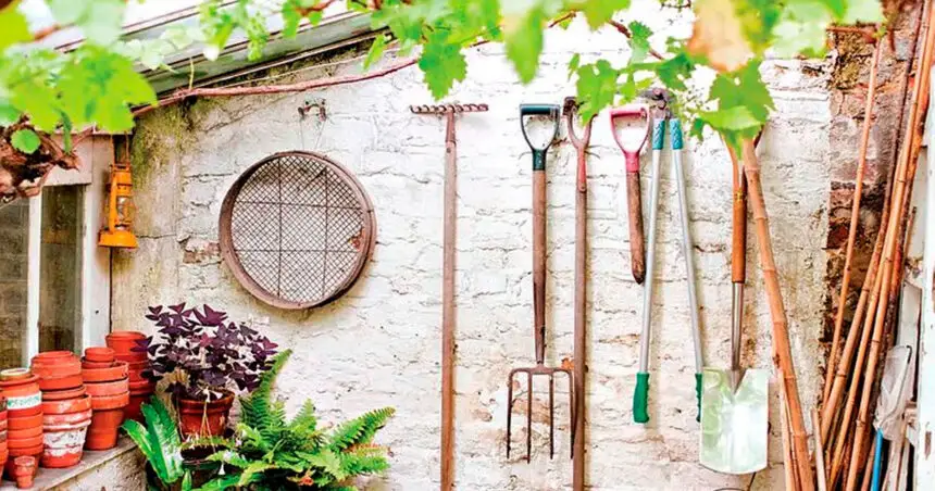 Some of the tools of the trade for any dedicated gardener.