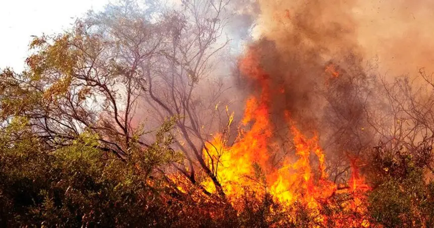 HOT DEBATE: Some politicians have declared climate change a hoax, but maybe they would change their minds if they visited the Torres Strait.
