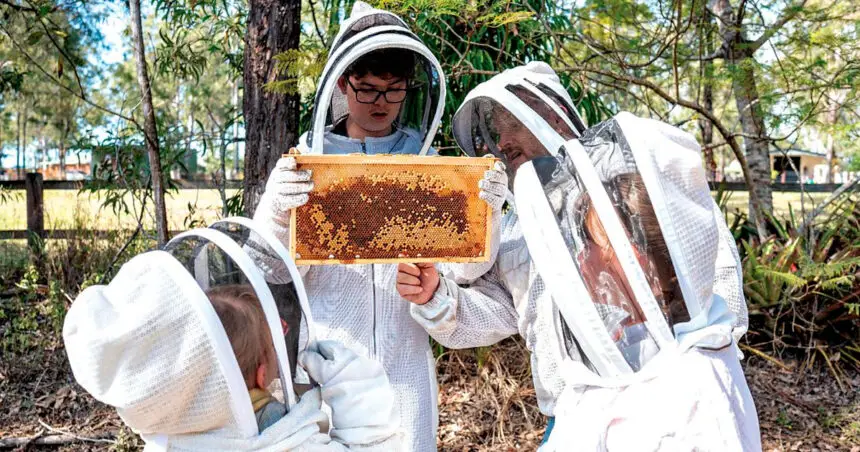 STICKY SITUATION: The varroa mite is devastating beehives.